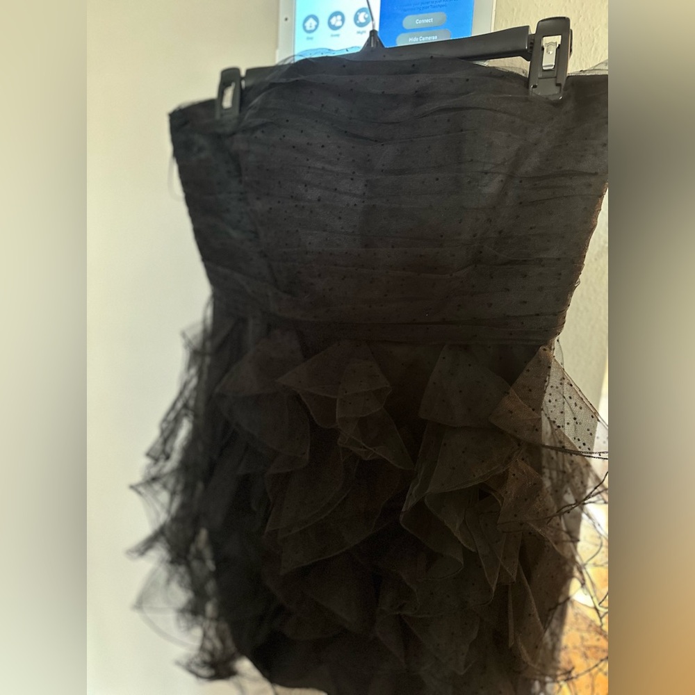 Brand New Black Tulle Dress from Zara